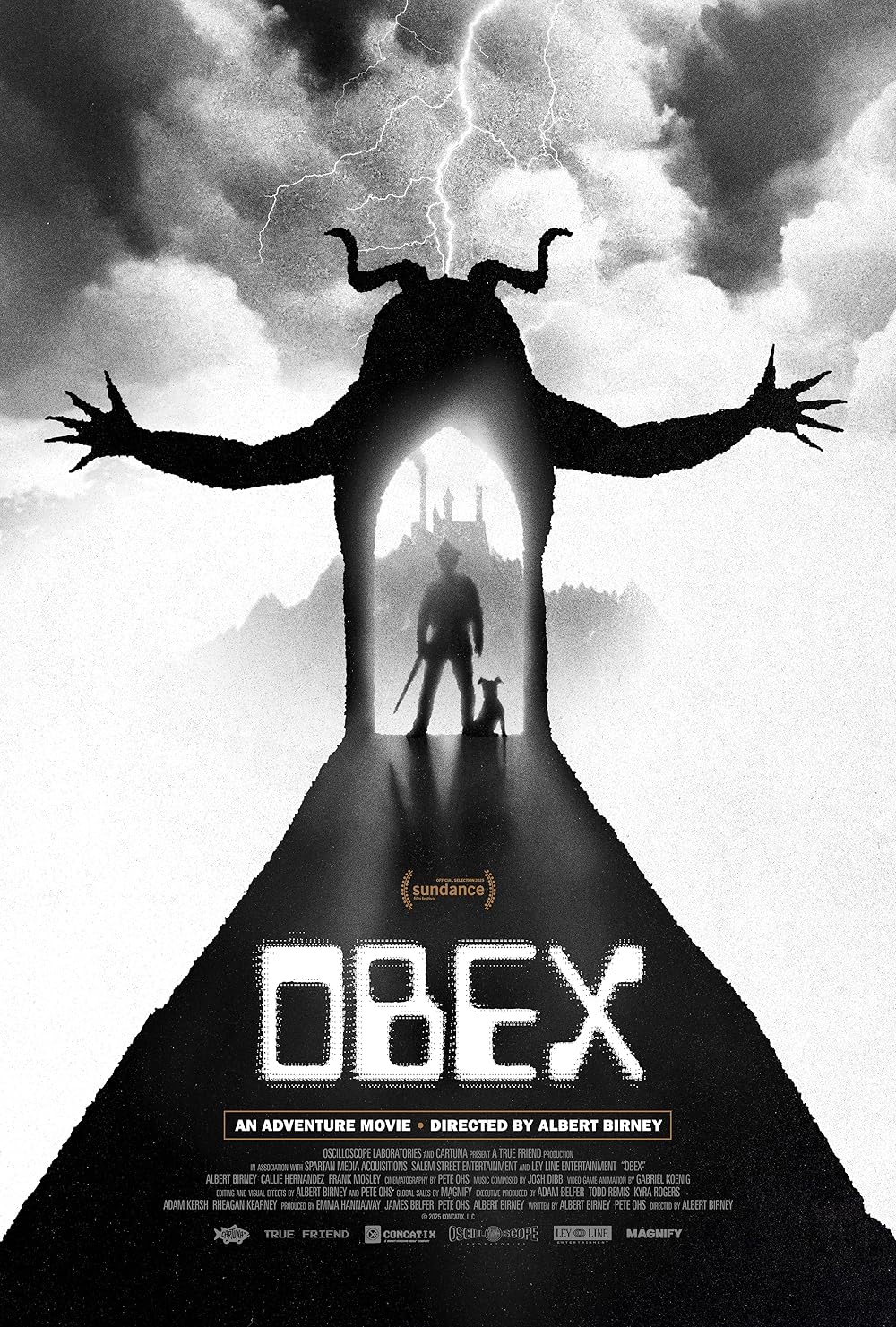 OBEX Poster