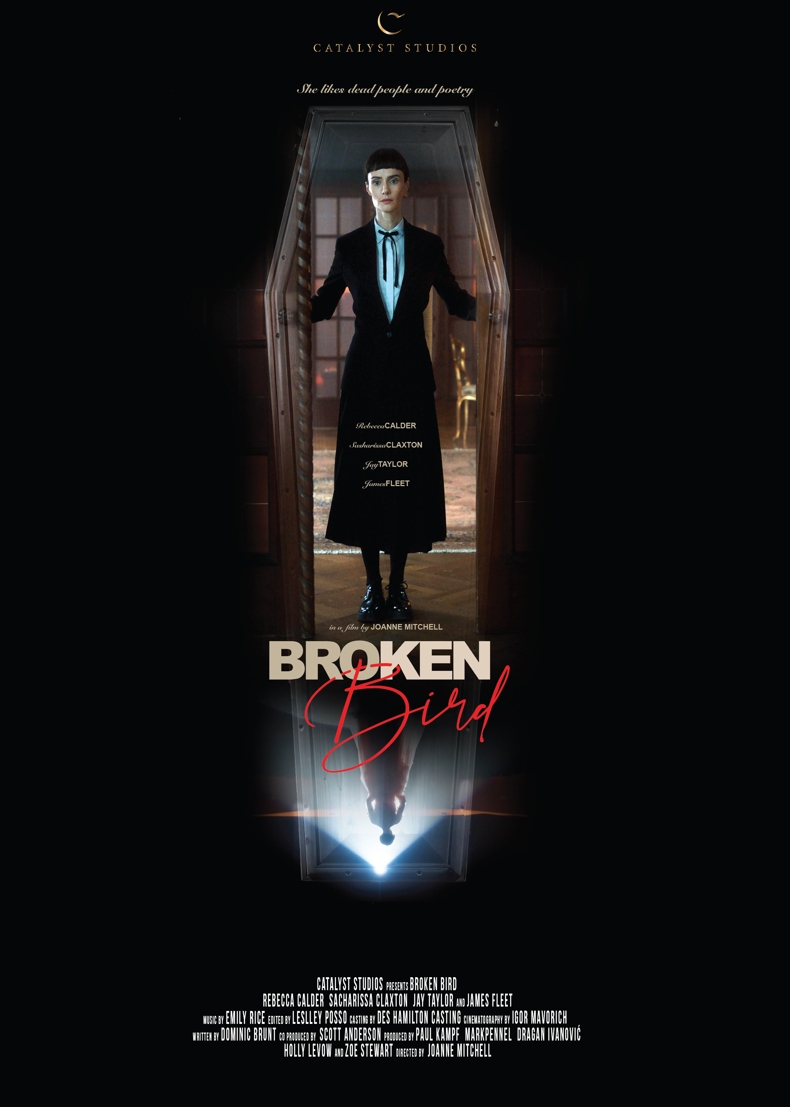 BROKEN BIRD Poster