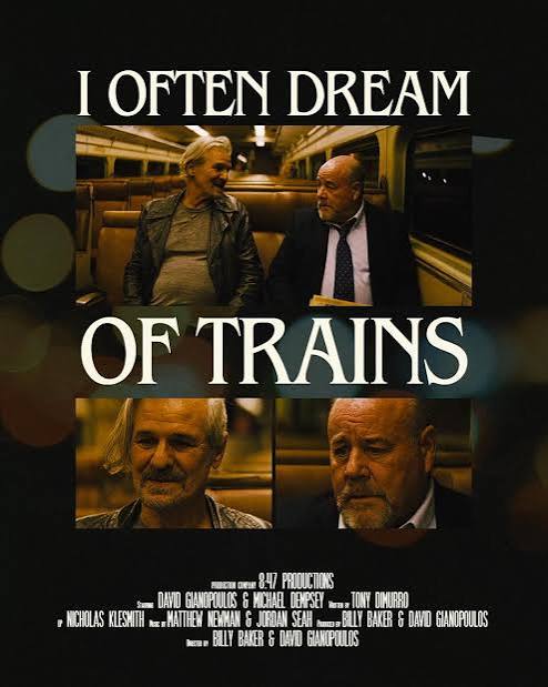 I OFTEN DREAM OF TRAINS Poster